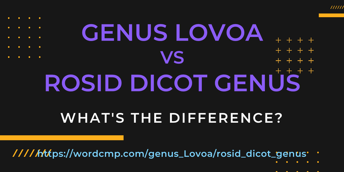 Difference between genus Lovoa and rosid dicot genus