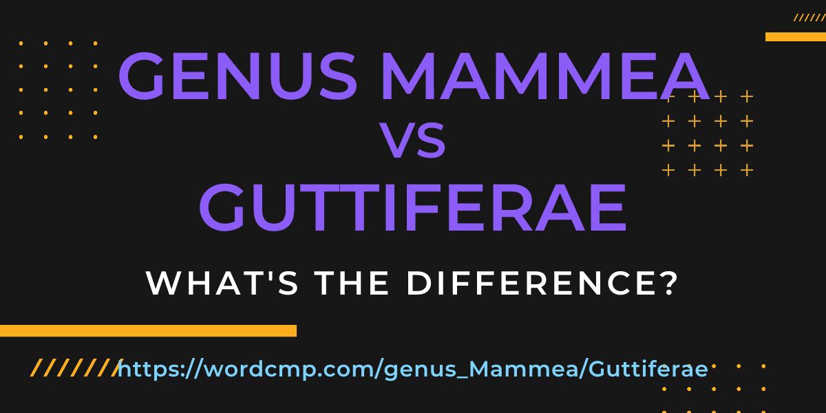 Difference between genus Mammea and Guttiferae