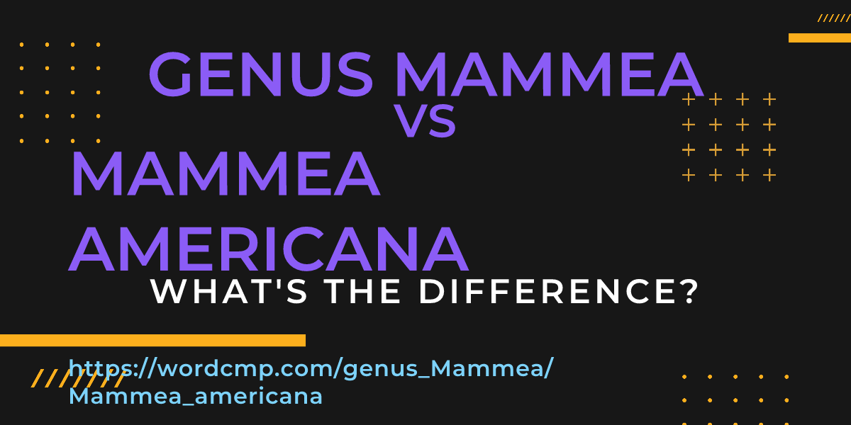 Difference between genus Mammea and Mammea americana