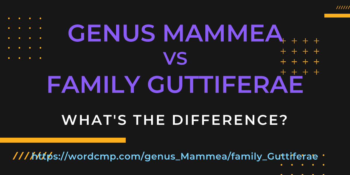 Difference between genus Mammea and family Guttiferae
