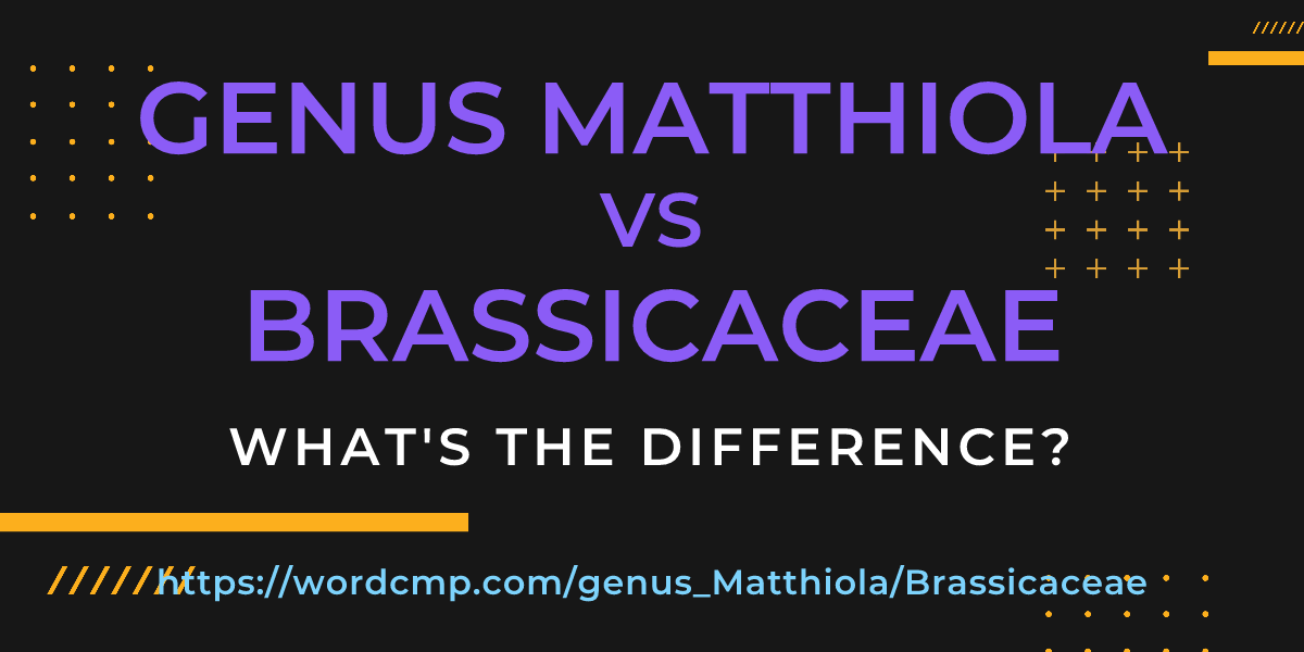 Difference between genus Matthiola and Brassicaceae