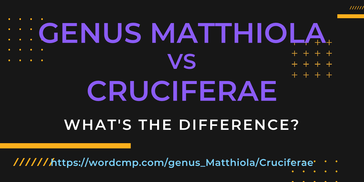 Difference between genus Matthiola and Cruciferae