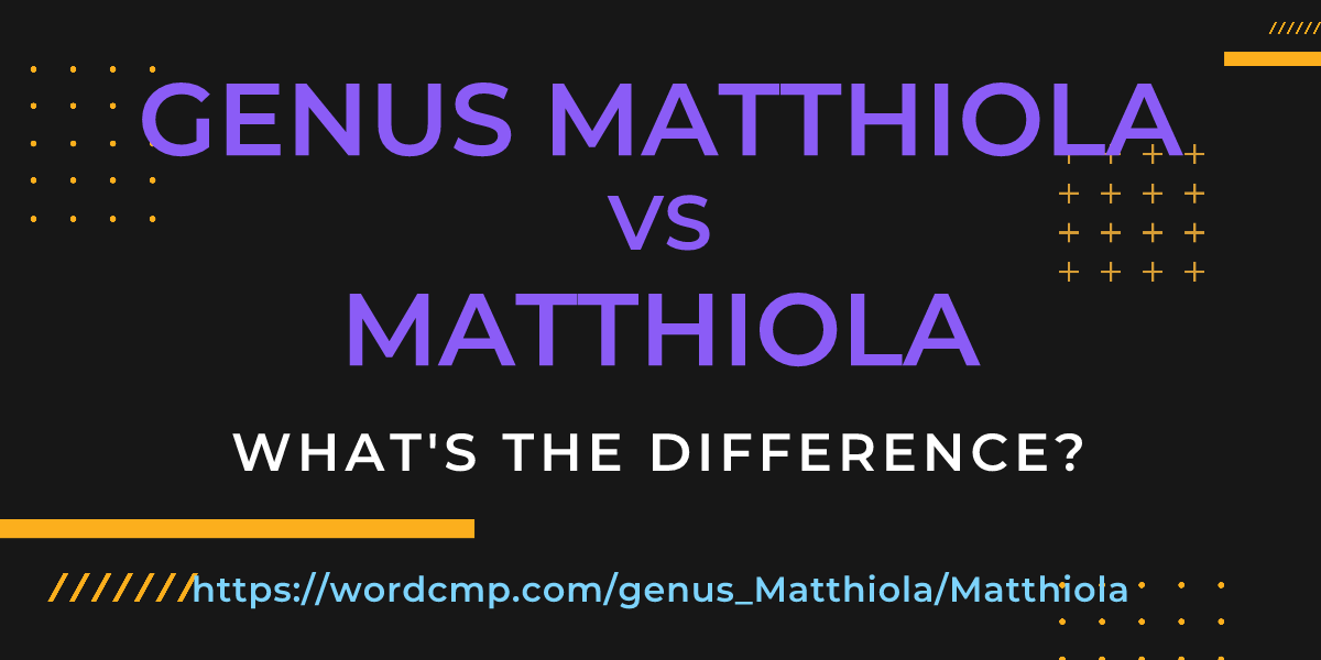Difference between genus Matthiola and Matthiola
