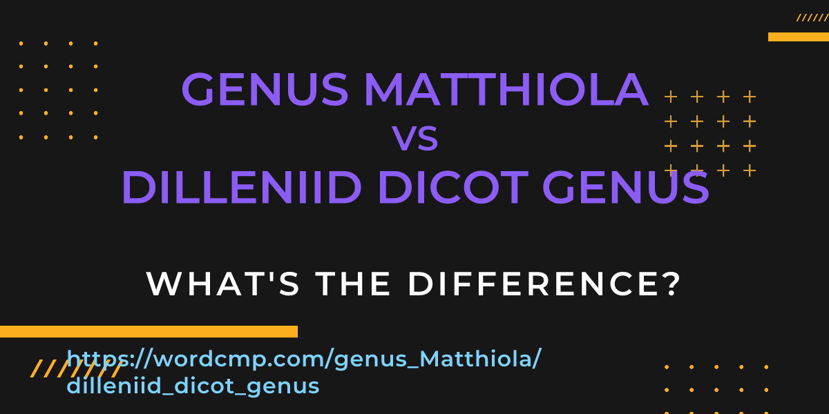 Difference between genus Matthiola and dilleniid dicot genus