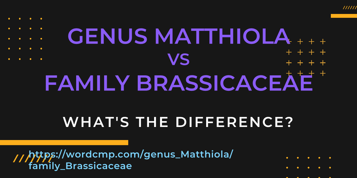 Difference between genus Matthiola and family Brassicaceae