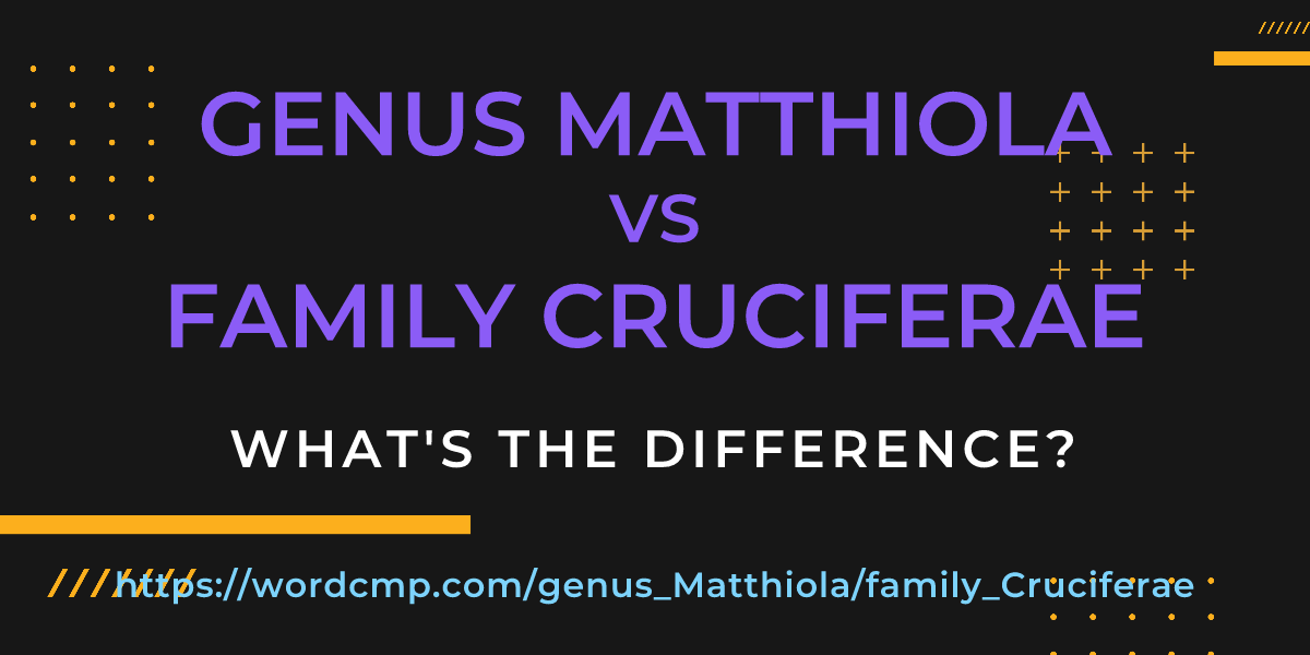 Difference between genus Matthiola and family Cruciferae