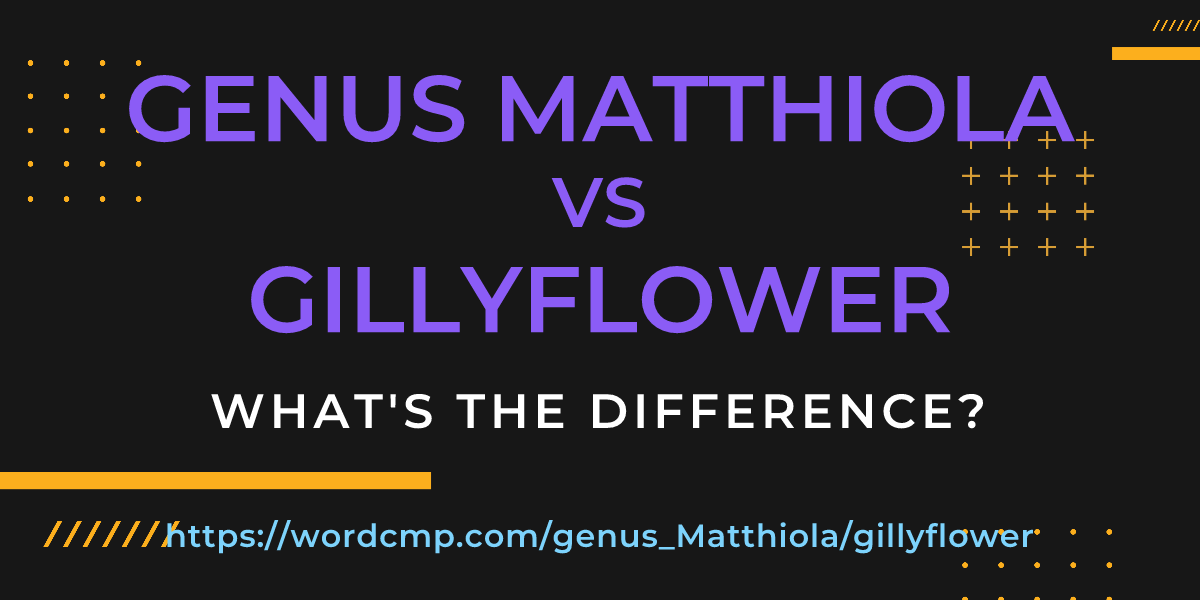 Difference between genus Matthiola and gillyflower