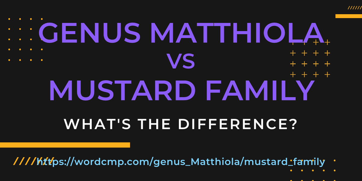 Difference between genus Matthiola and mustard family