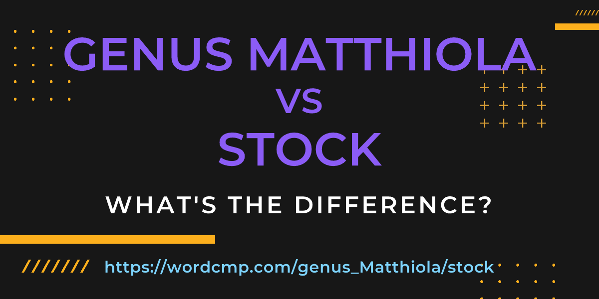 Difference between genus Matthiola and stock