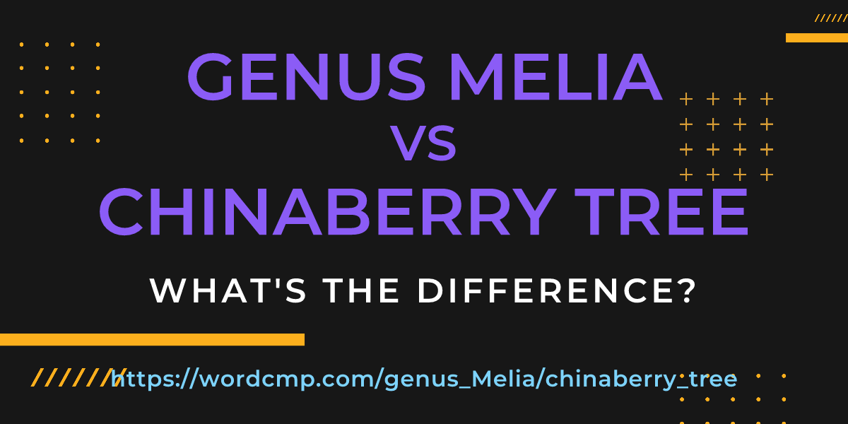 Difference between genus Melia and chinaberry tree