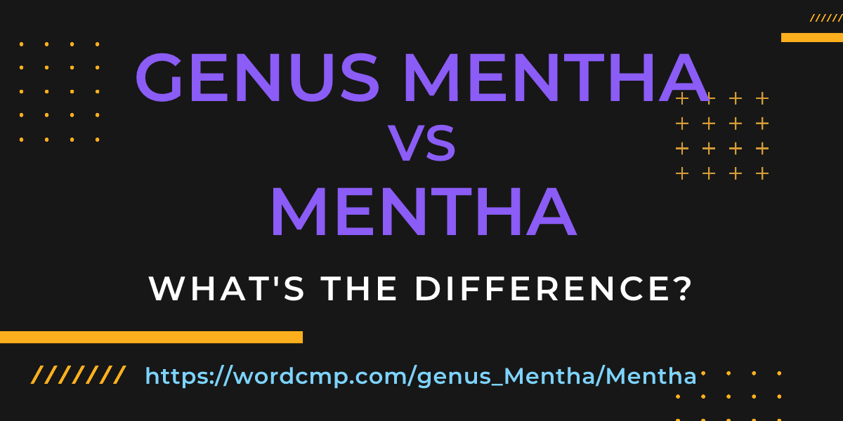 Difference between genus Mentha and Mentha