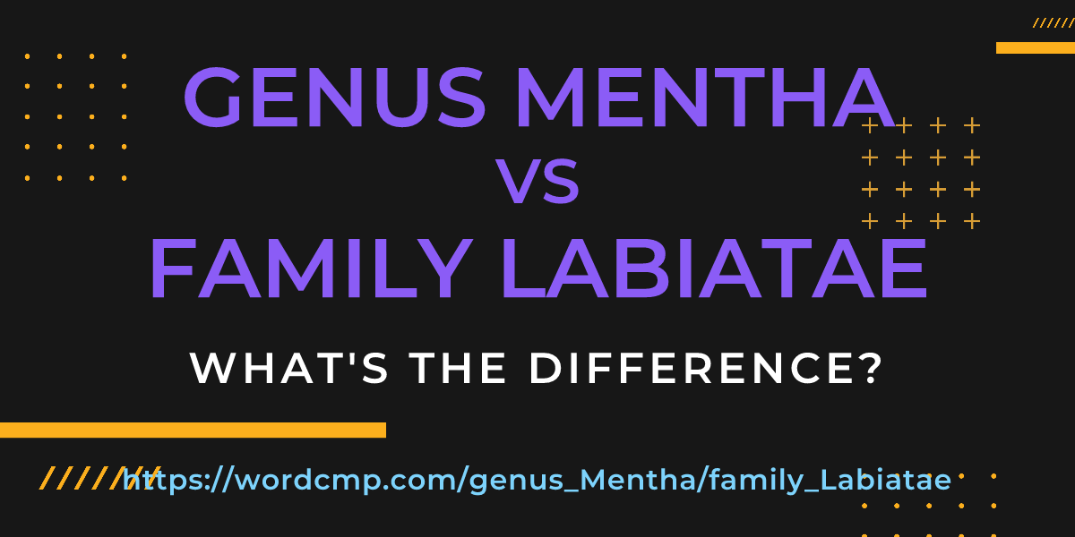 Difference between genus Mentha and family Labiatae