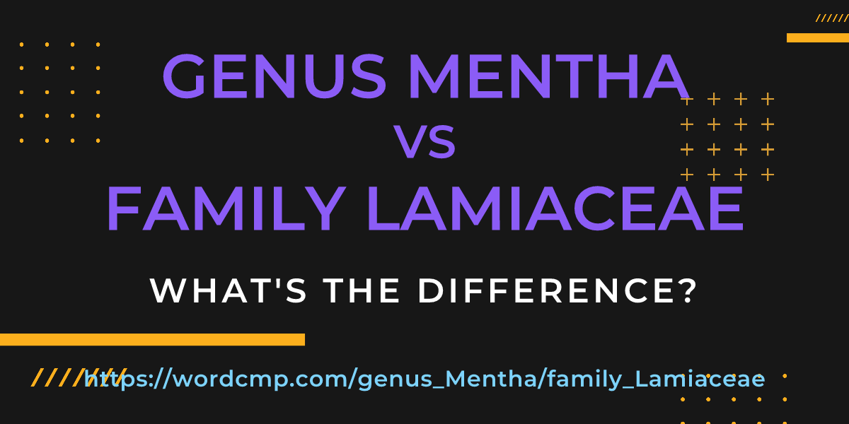 Difference between genus Mentha and family Lamiaceae