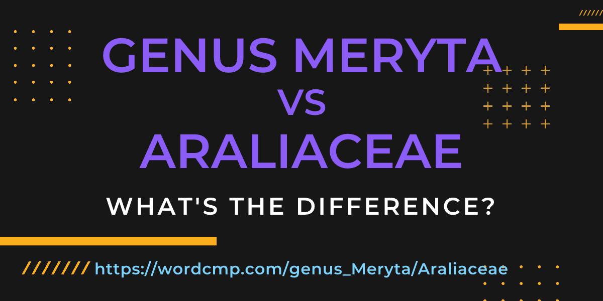 Difference between genus Meryta and Araliaceae
