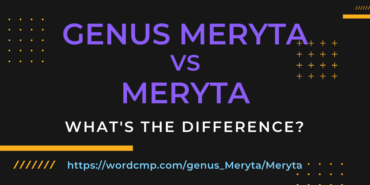 Difference between genus Meryta and Meryta