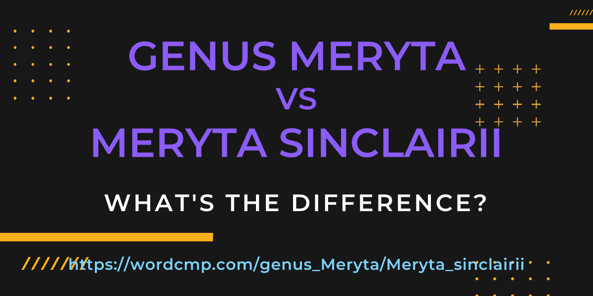 Difference between genus Meryta and Meryta sinclairii