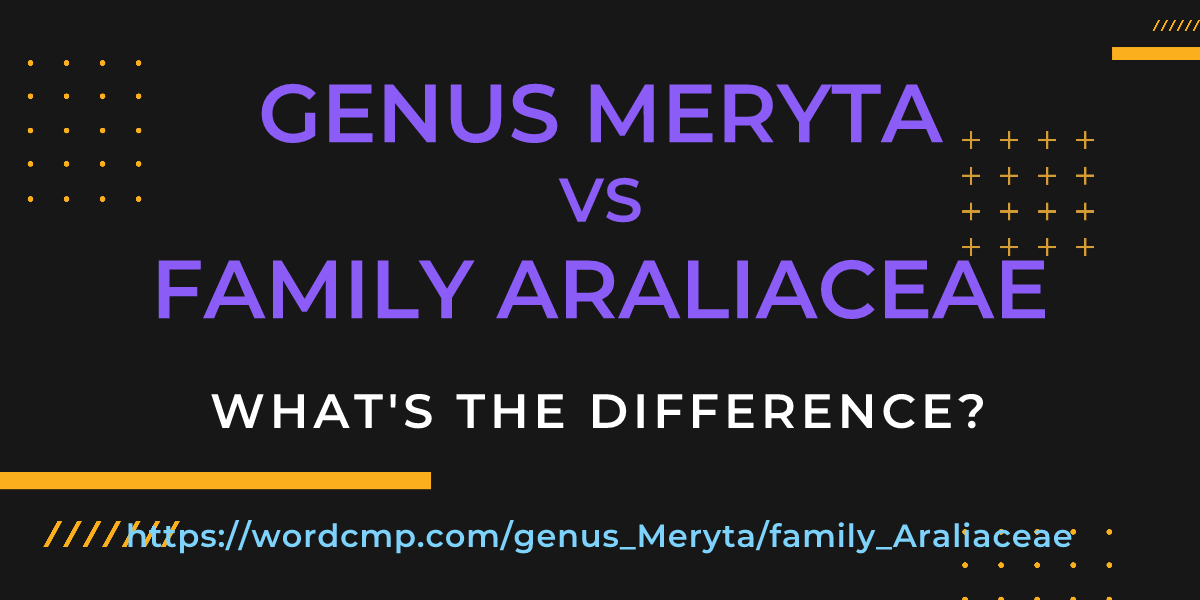 Difference between genus Meryta and family Araliaceae