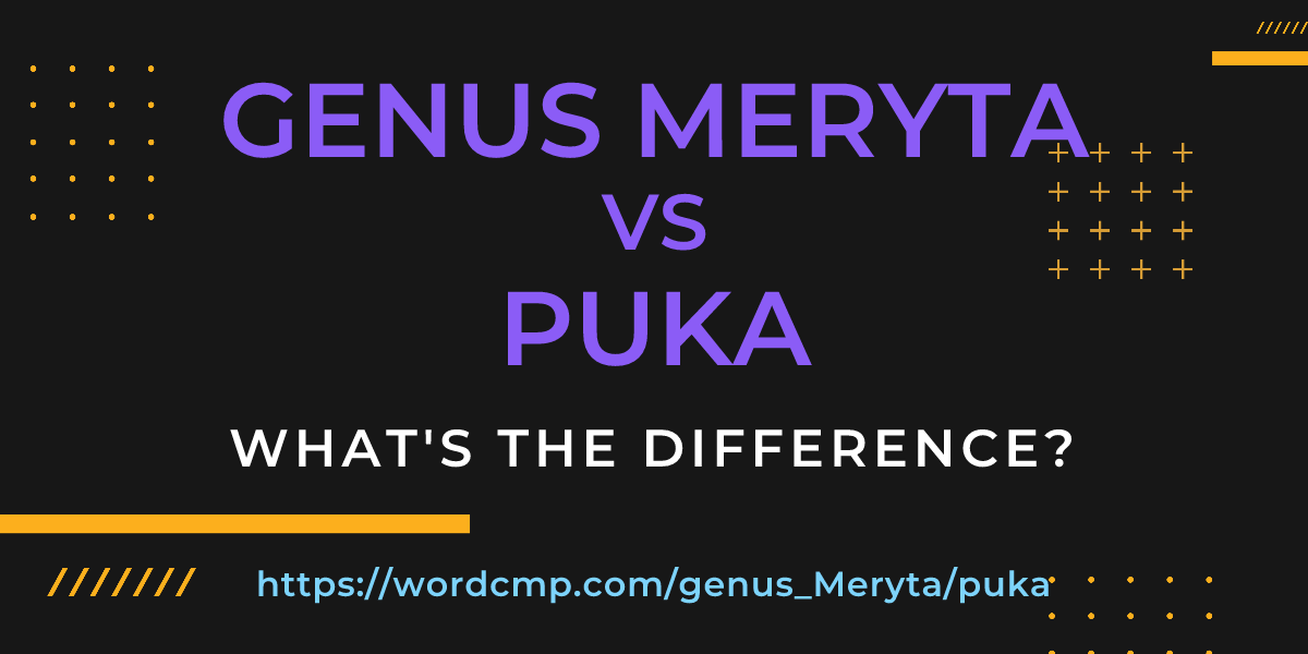 Difference between genus Meryta and puka
