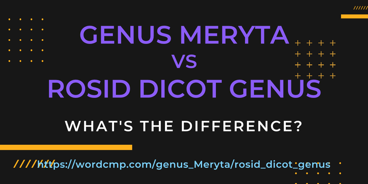Difference between genus Meryta and rosid dicot genus
