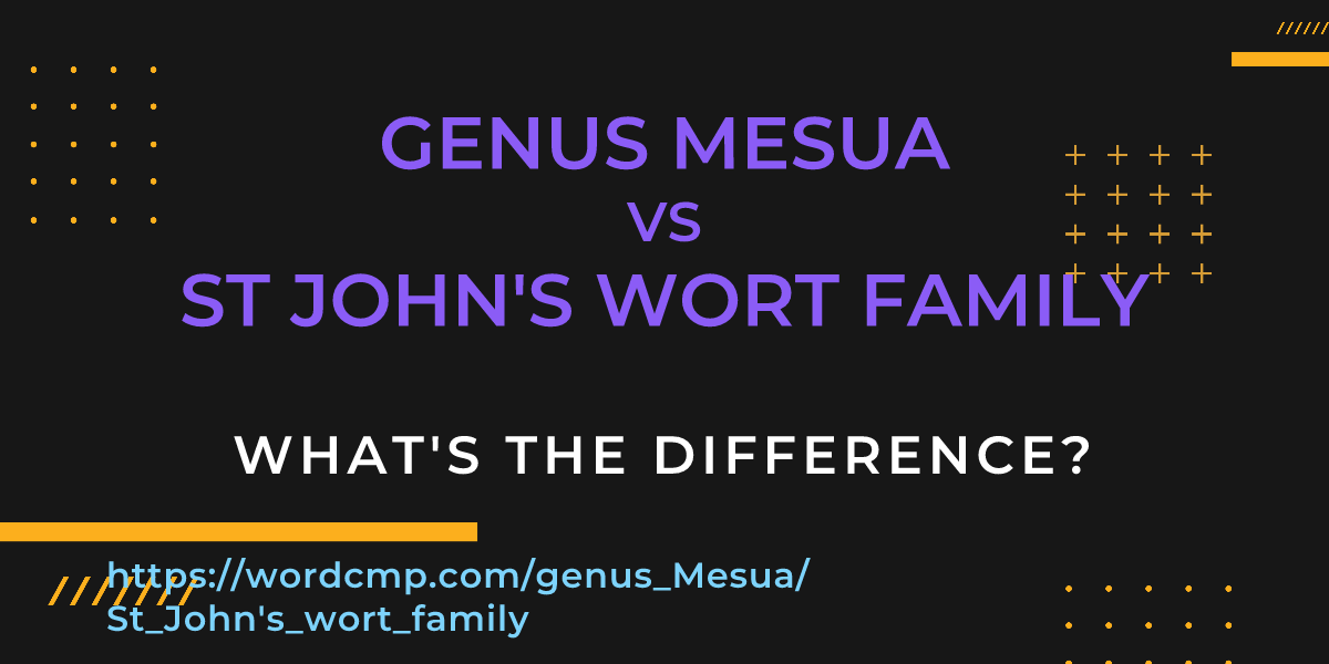 Difference between genus Mesua and St John's wort family