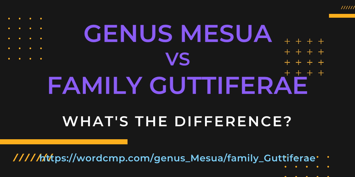Difference between genus Mesua and family Guttiferae