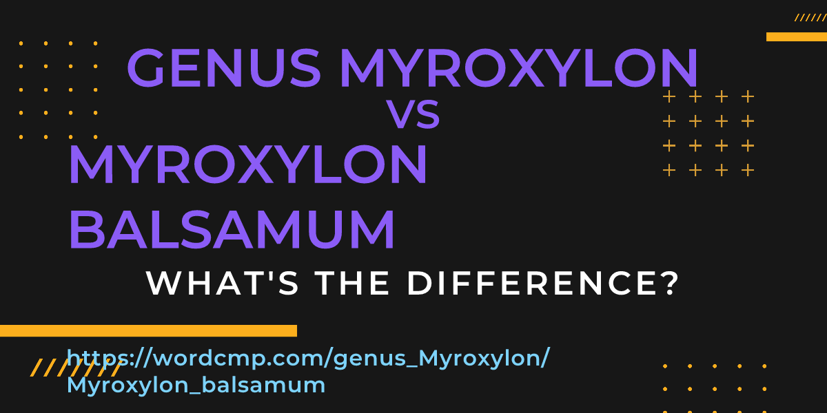 Difference between genus Myroxylon and Myroxylon balsamum