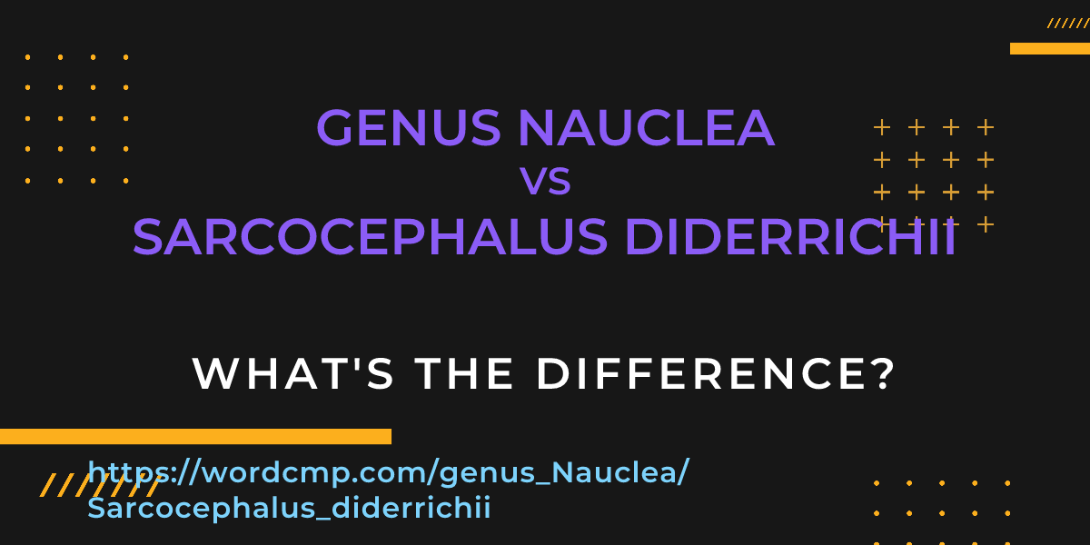 Difference between genus Nauclea and Sarcocephalus diderrichii