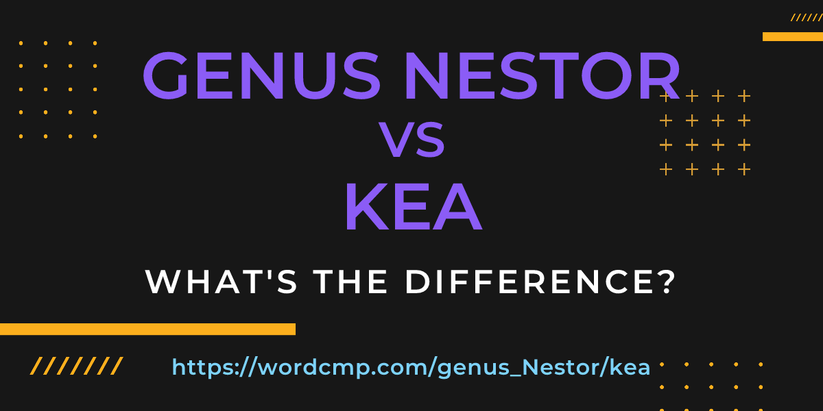 Difference between genus Nestor and kea