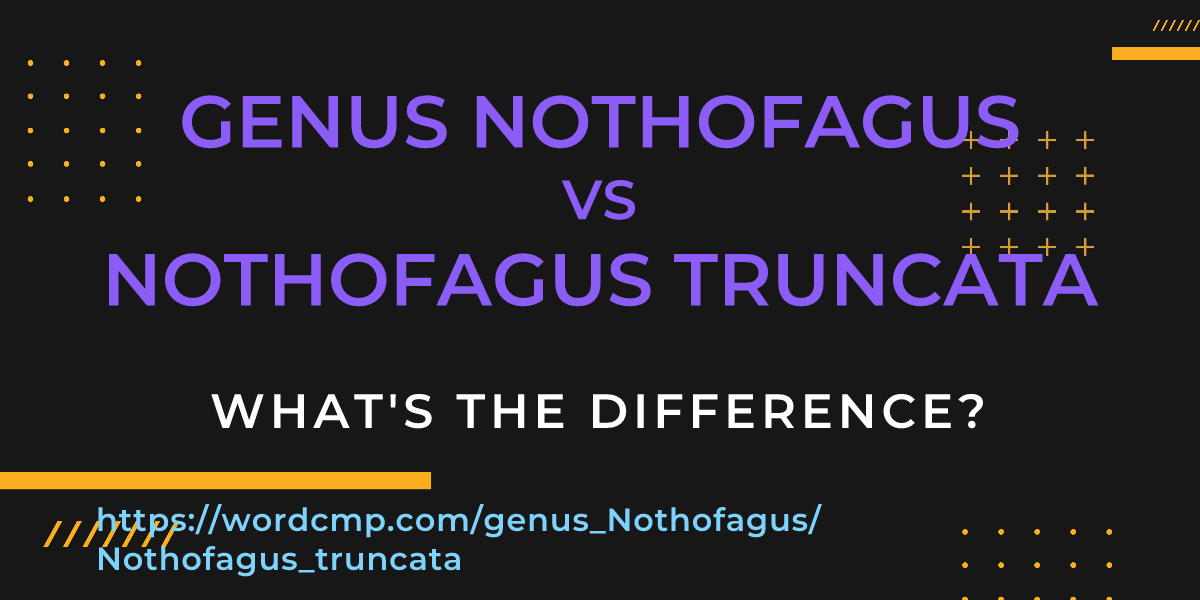 Difference between genus Nothofagus and Nothofagus truncata