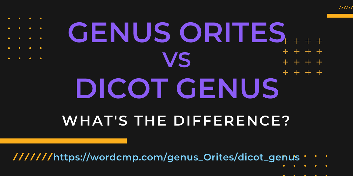 Difference between genus Orites and dicot genus