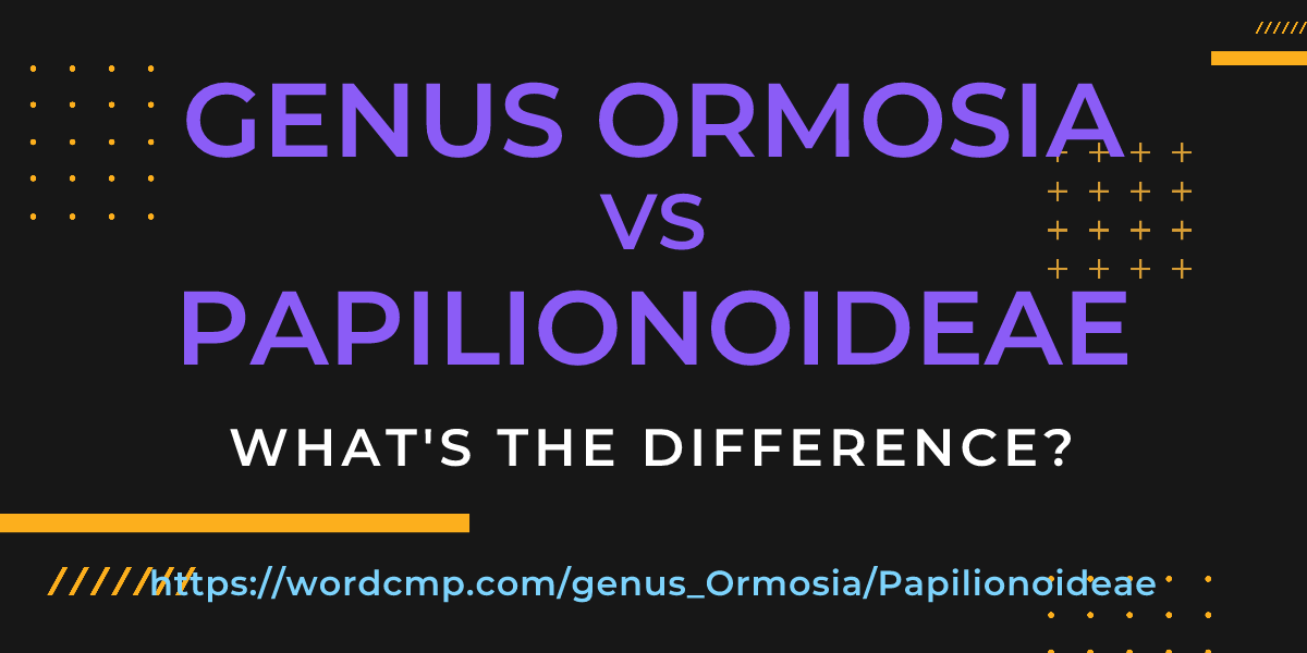 Difference between genus Ormosia and Papilionoideae