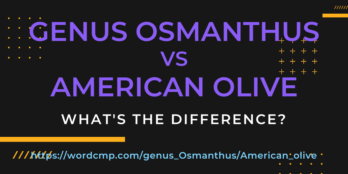 Difference between genus Osmanthus and American olive