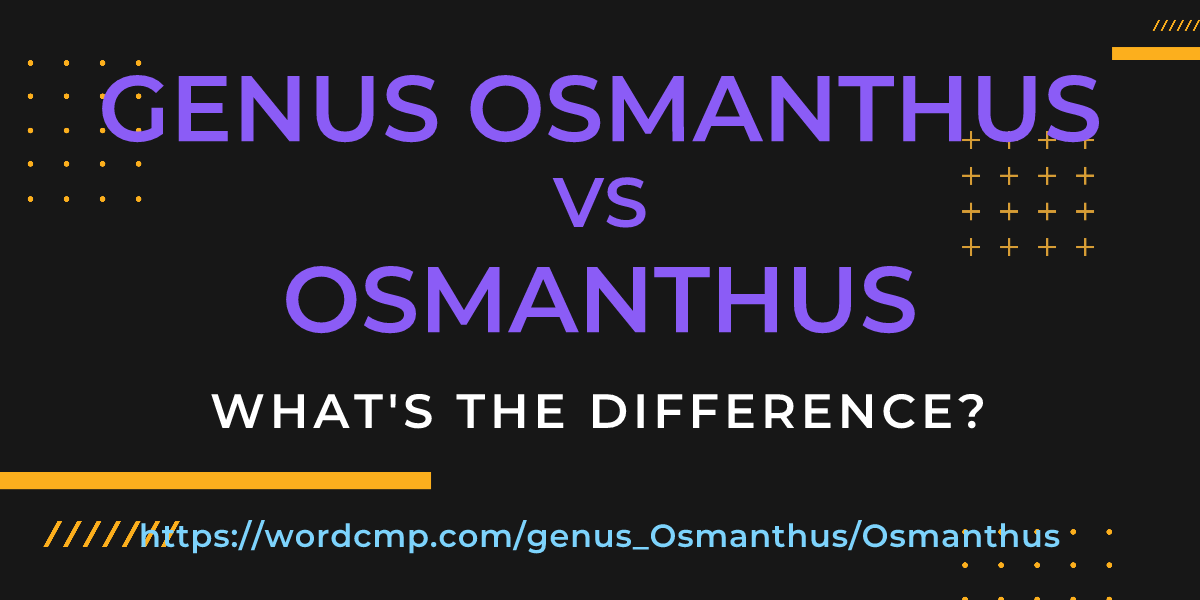 Difference between genus Osmanthus and Osmanthus