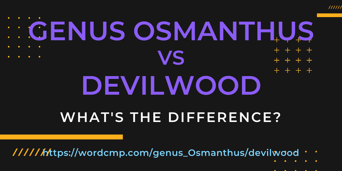 Difference between genus Osmanthus and devilwood