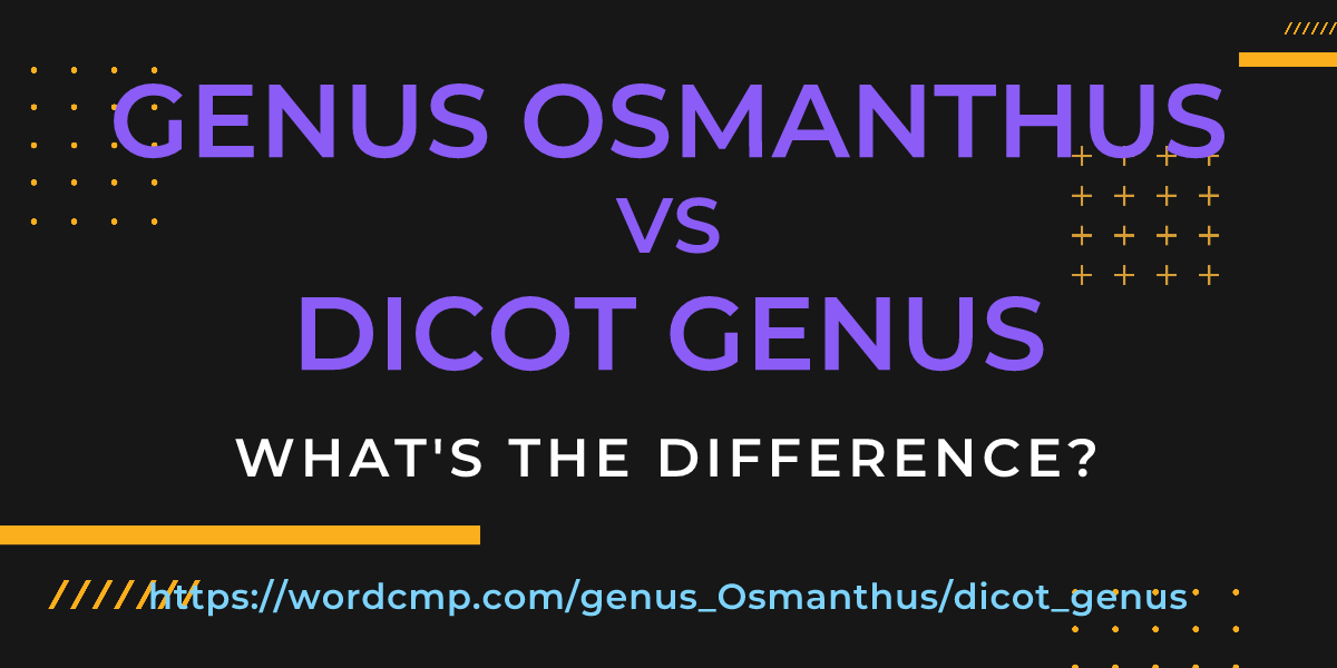 Difference between genus Osmanthus and dicot genus