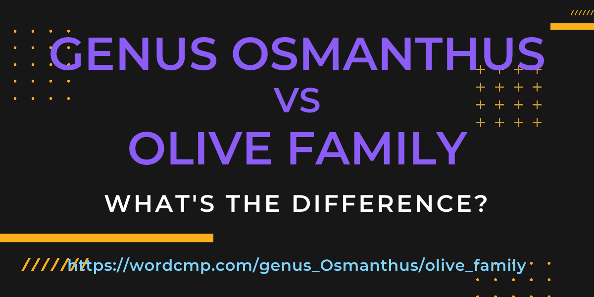 Difference between genus Osmanthus and olive family