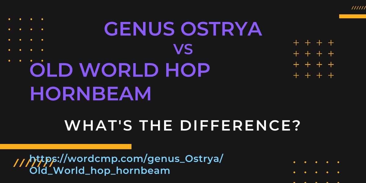 Difference between genus Ostrya and Old World hop hornbeam