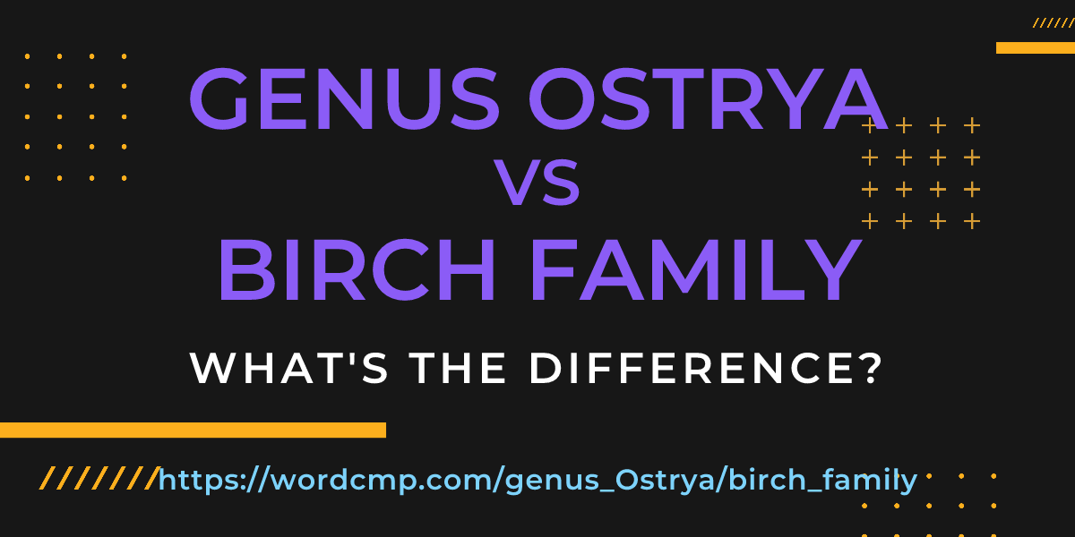 Difference between genus Ostrya and birch family