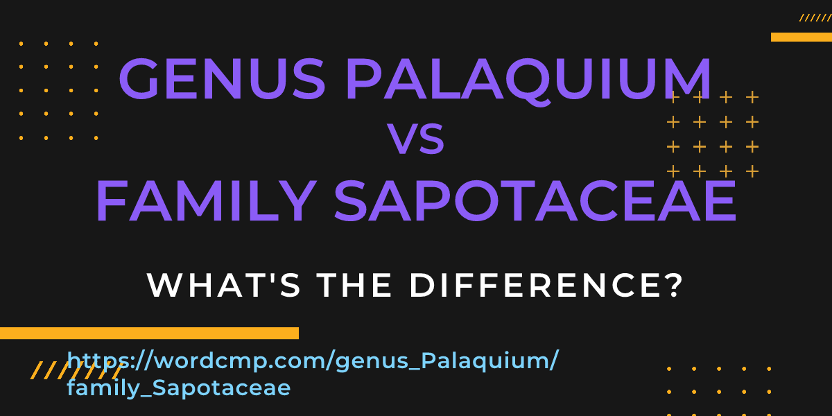 Difference between genus Palaquium and family Sapotaceae