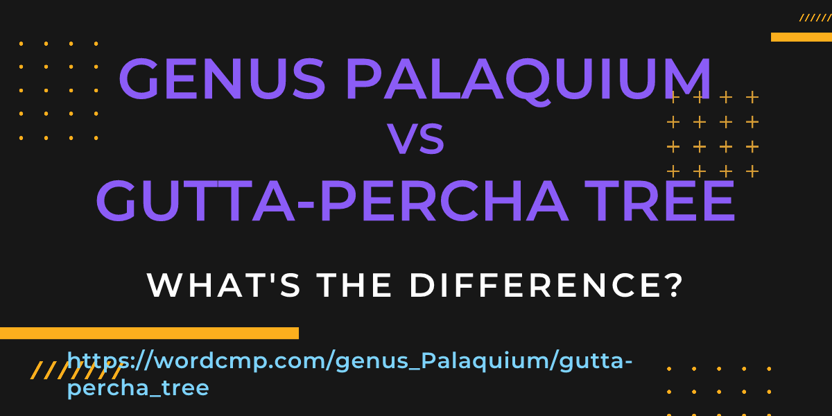 Difference between genus Palaquium and gutta-percha tree