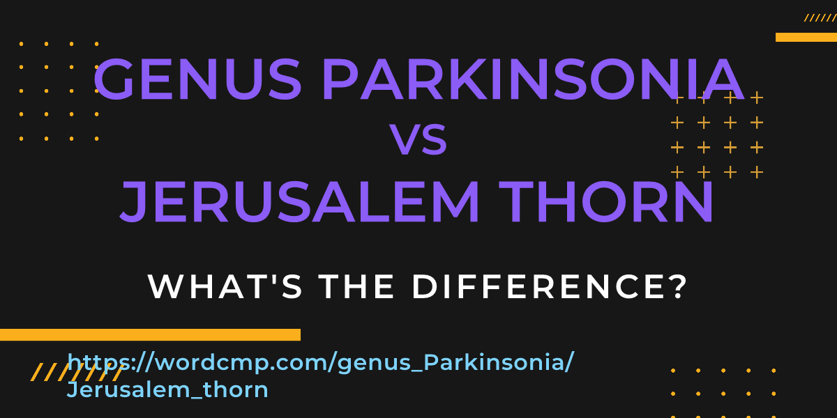Difference between genus Parkinsonia and Jerusalem thorn