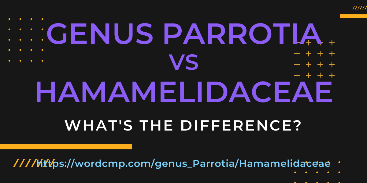 Difference between genus Parrotia and Hamamelidaceae