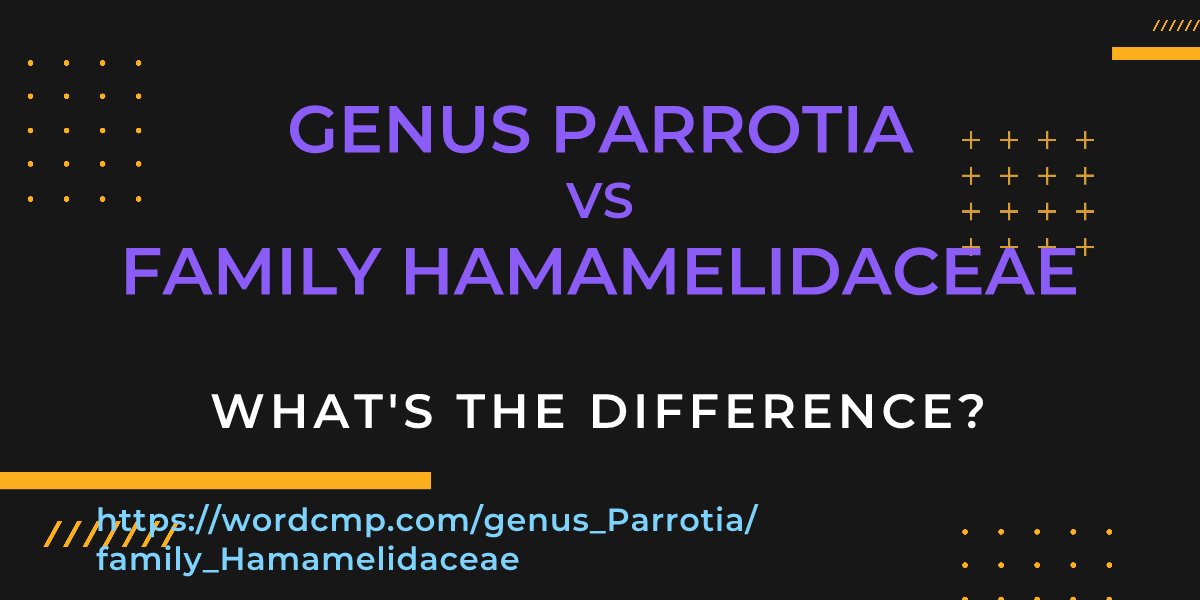 Difference between genus Parrotia and family Hamamelidaceae