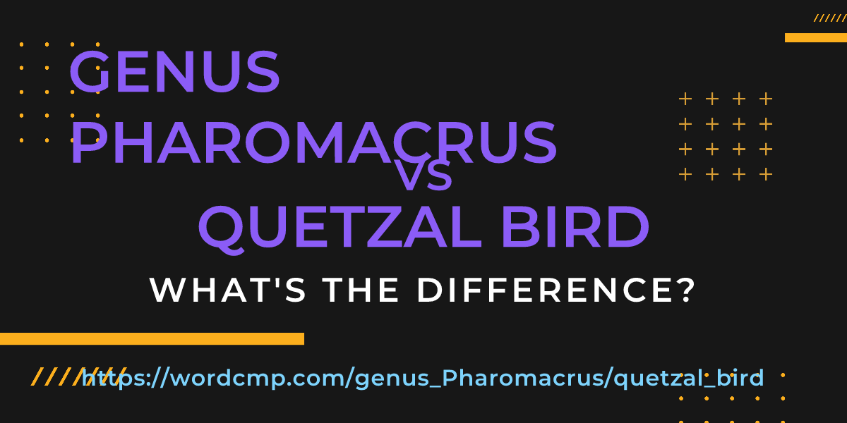 Difference between genus Pharomacrus and quetzal bird