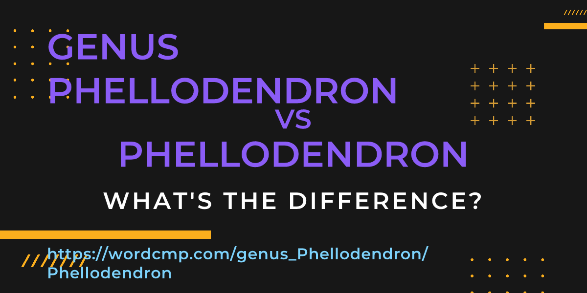 Difference between genus Phellodendron and Phellodendron