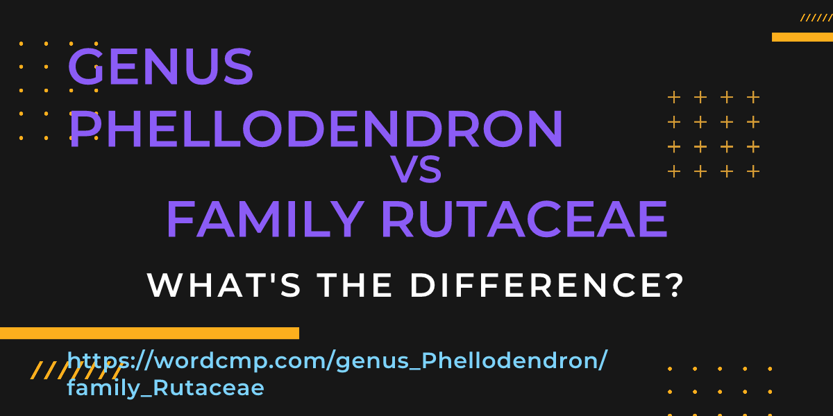 Difference between genus Phellodendron and family Rutaceae
