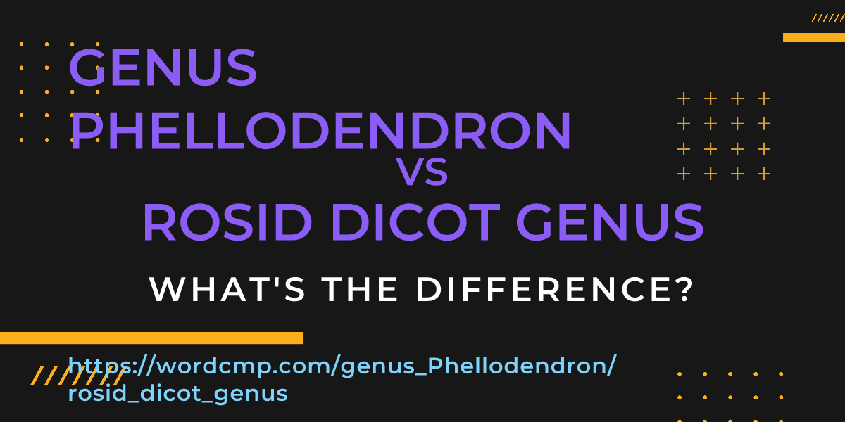 Difference between genus Phellodendron and rosid dicot genus
