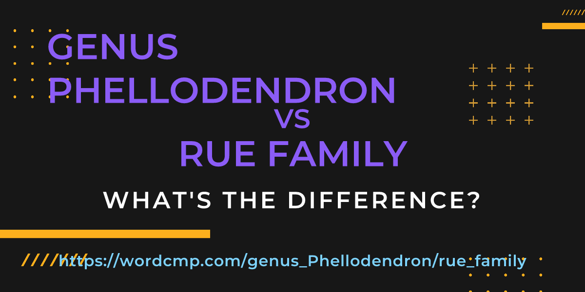 Difference between genus Phellodendron and rue family