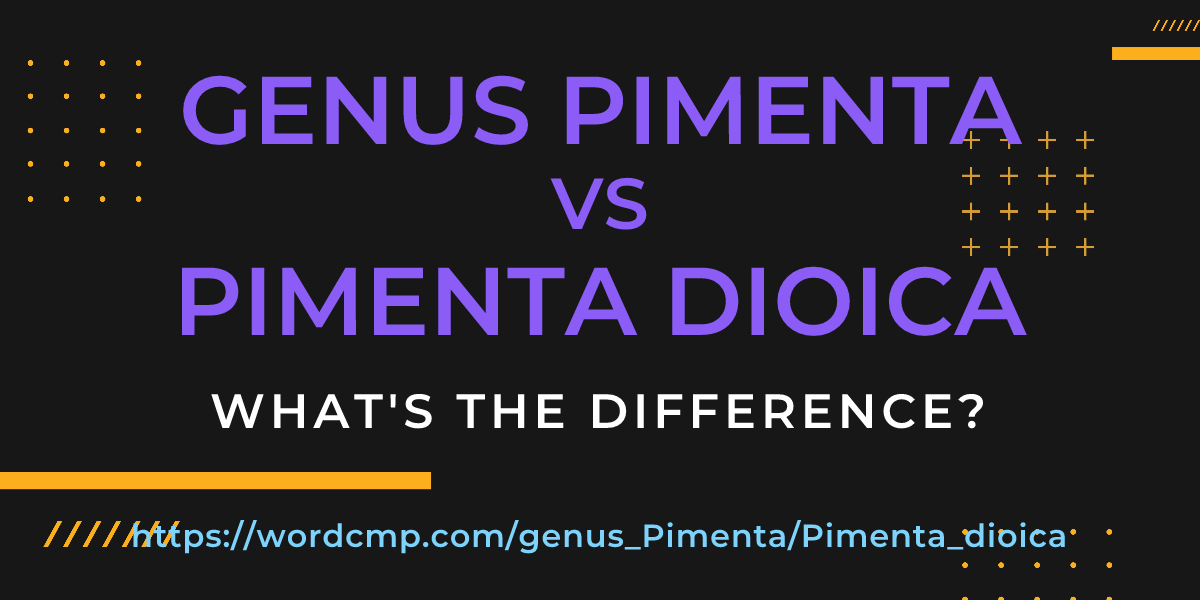 Difference between genus Pimenta and Pimenta dioica