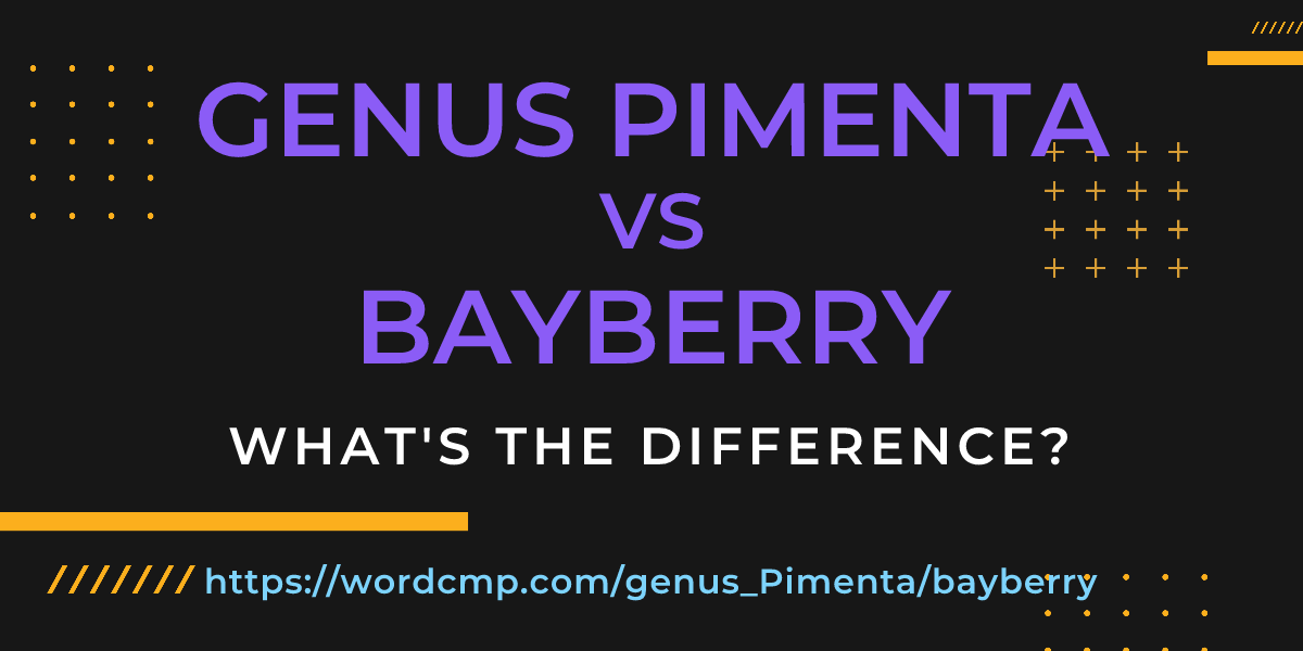 Difference between genus Pimenta and bayberry